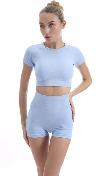 Famke | Gym Set – Dames 2-delige Set met High-Waist Legging en Borstondersteuning