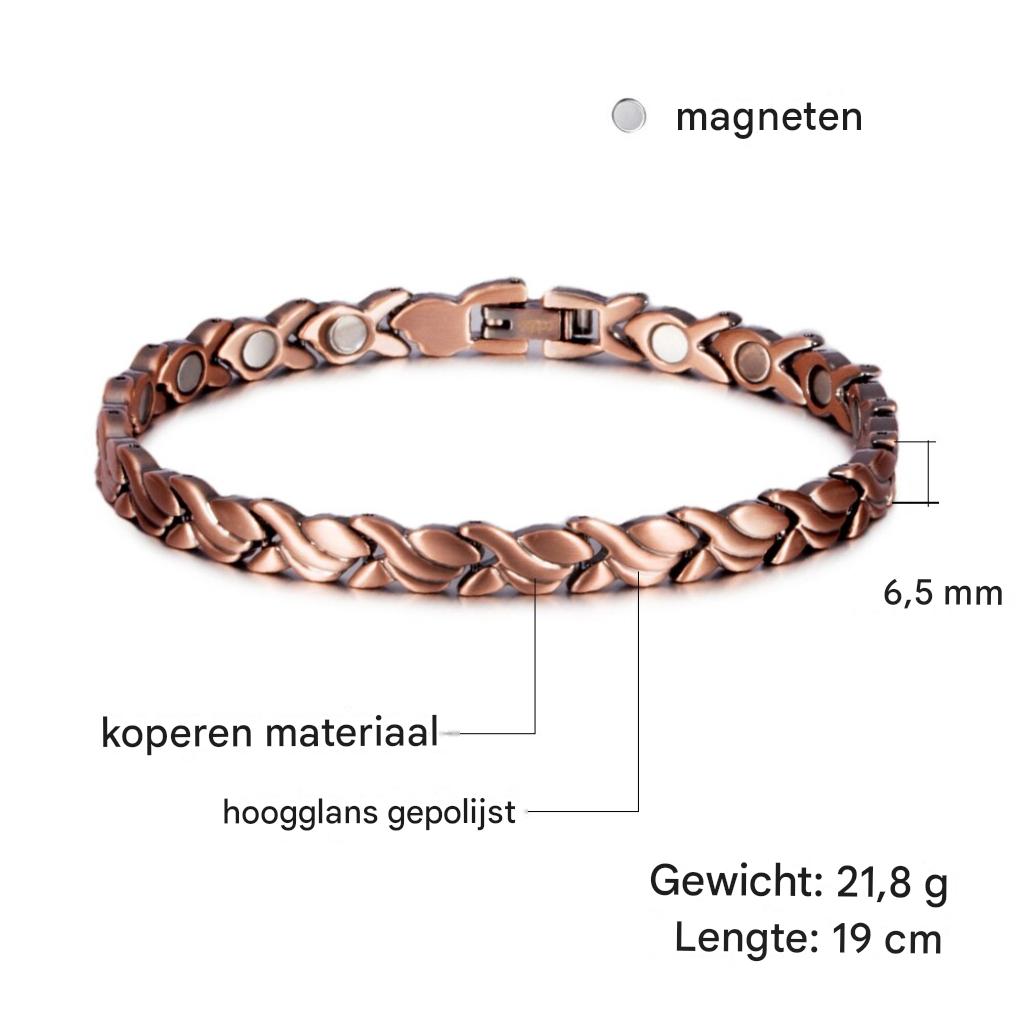 Dames Magnetische Armband – Visdesign, Geschikt voor Dagelijks Gebruik