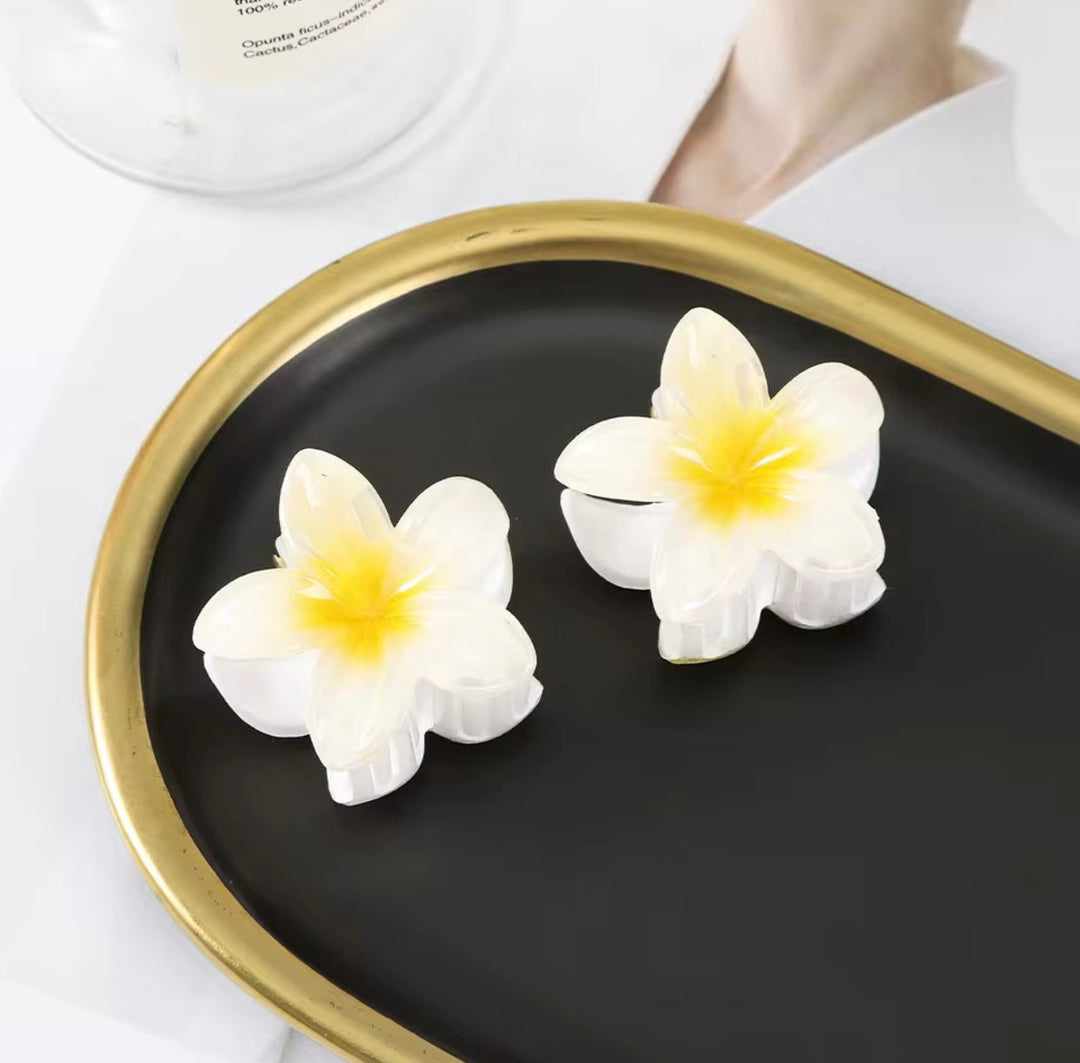 Trendy Haarclips in Bloemvorm